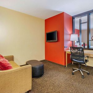 Queen Suite